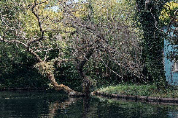 Techniques d'harmonisation corporelle pour réinitialiser votre corps et votre esprit